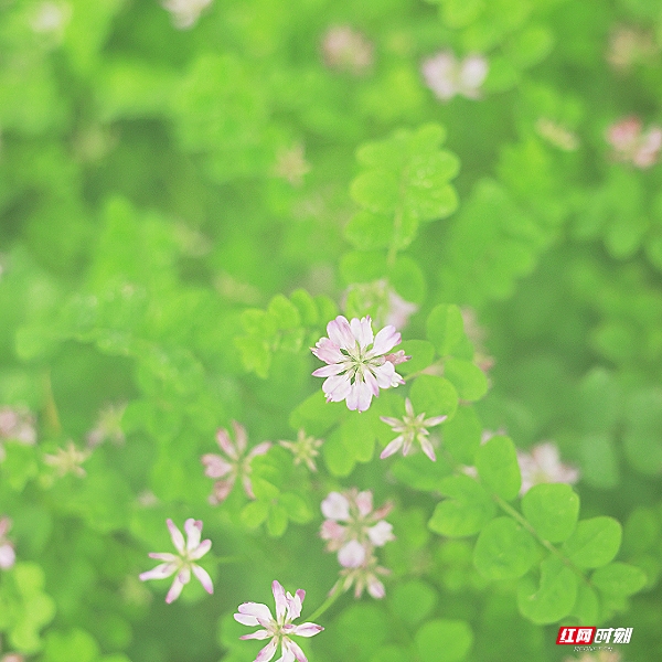 微信图片_20260405201836_1809_2291.jpg 微信图片_20260405201836_1809_2291.jpg