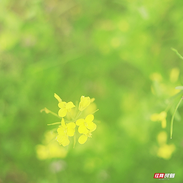 微信图片_20260405201834_1807_2291.jpg 微信图片_20260405201834_1807_2291.jpg