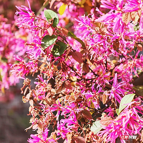 微信图片_20260405201838_1812_2291.jpg 微信图片_20260405201838_1812_2291.jpg