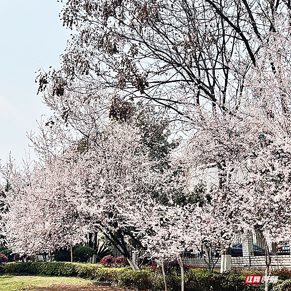 微信图片_20260405201847_1826_2291.jpg 微信图片_20260405201847_1826_2291.jpg