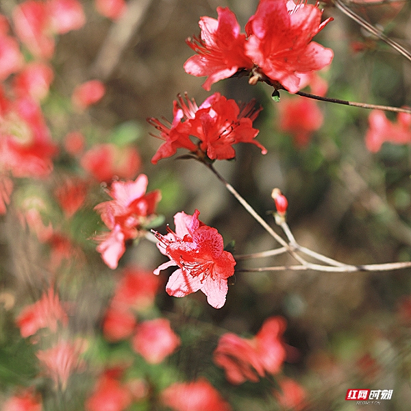 微信图片_20260405201836_1810_2291.jpg 微信图片_20260405201836_1810_2291.jpg