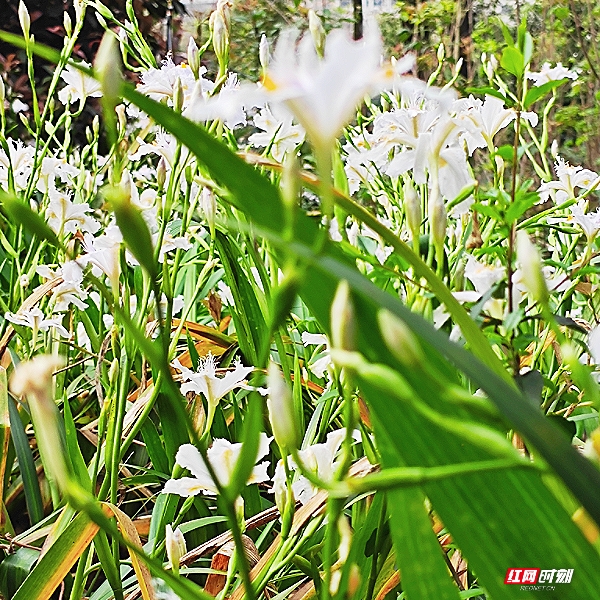 微信图片_20260405201845_1823_2291.jpg 微信图片_20260405201845_1823_2291.jpg