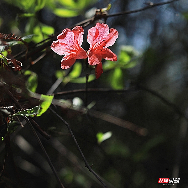 微信图片_20260405201834_1806_2291.jpg 微信图片_20260405201834_1806_2291.jpg