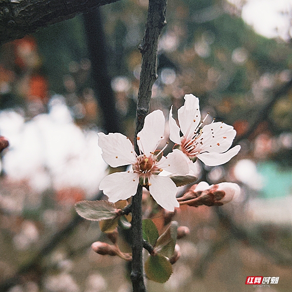 微信图片_20260405201846_1825_2291.jpg 微信图片_20260405201846_1825_2291.jpg