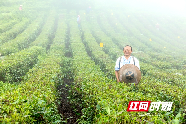 龙献文1.jpg