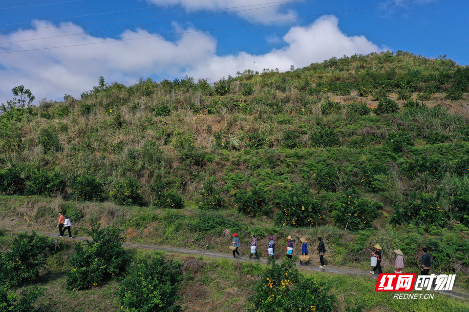 奔县宜章_5.jpg 奔县宜章_5.jpg