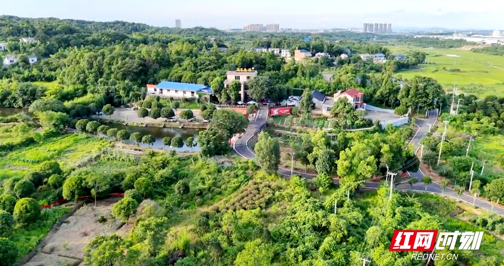 微信图片_20250701145452_副本.jpg