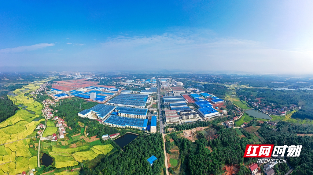 岳阳高新技术产业园全景图.jpg