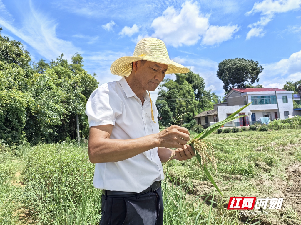 微信图片_20260709212236_1774_208_副本.jpg 微信图片_20260709212236_1774_208_副本.jpg