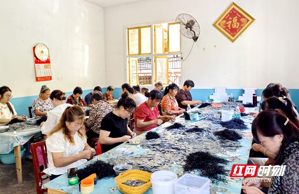 微信图片_20260916164116_68_158_副本.jpg 微信图片_20260916164116_68_158_副本.jpg