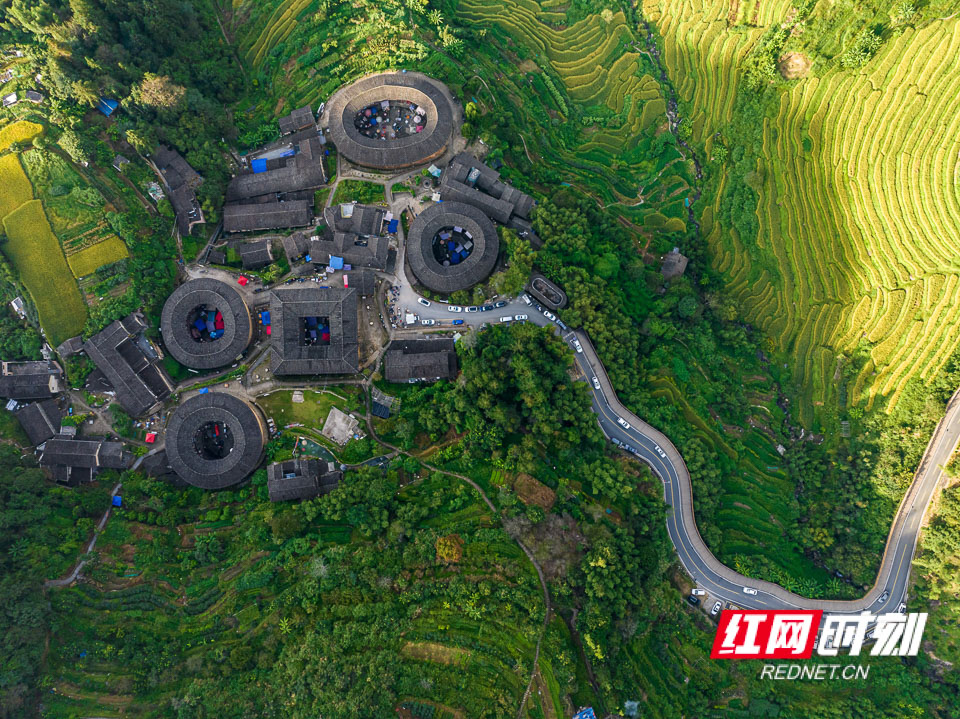 楼聚田螺山.刘志信.jpg