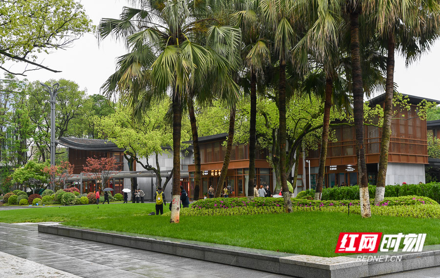 DSC_1918.jpg DSC_1918.jpg