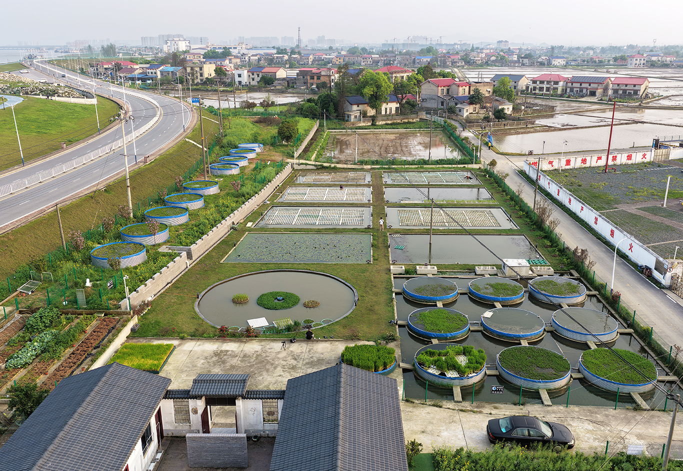 水上种稻二十年！