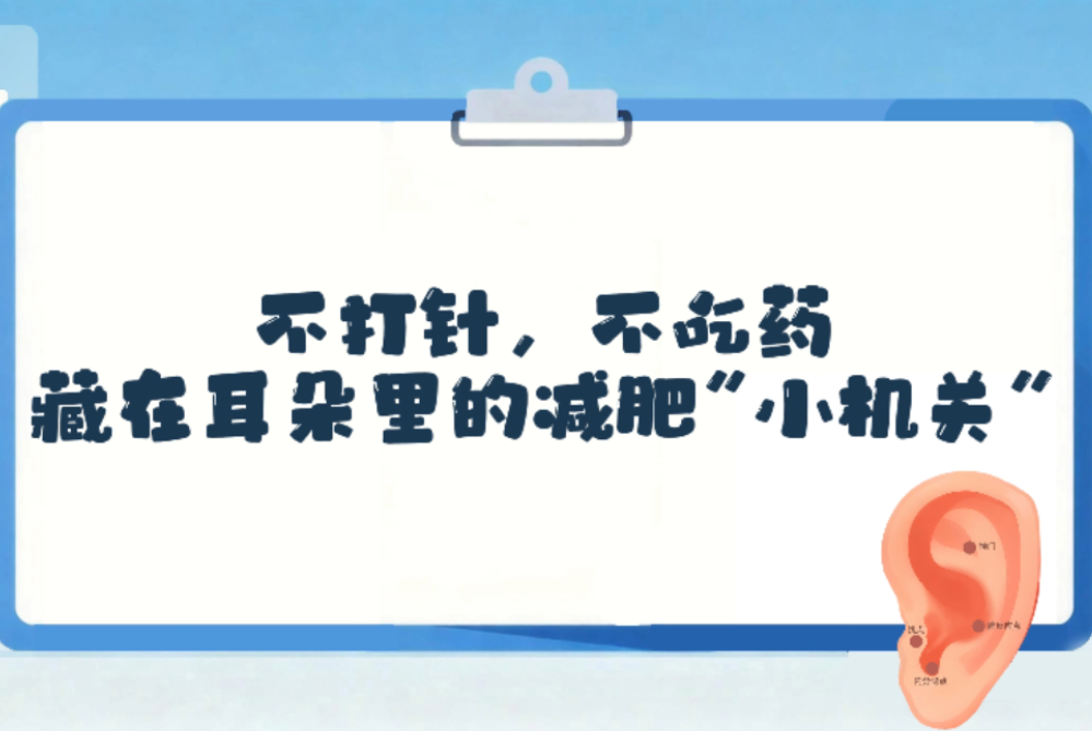 不打针，不吃药，藏在耳朵里的减肥“小机关”