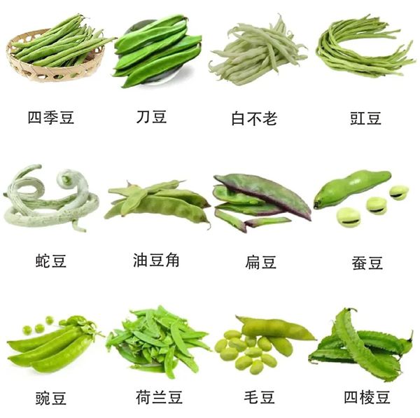 图片三.jpg