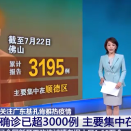 广东佛山累计确诊基孔肯雅热超3000例 这几类人群发生重症风险高