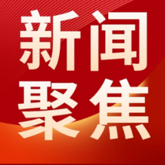 成绩单造假学位论文抄袭 董某莹肖某事件5家机构19人被问责