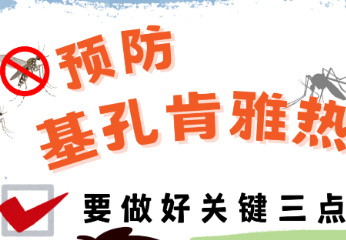 预防基孔肯雅热，做好关键三点→