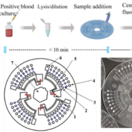 中南大学湘雅三医院与湖南大学合作研发“白菜价”芯片，50分钟锁定血流感染元凶