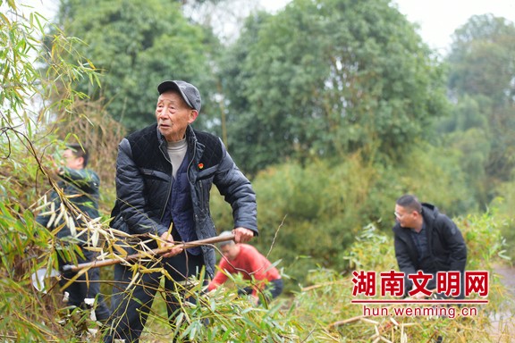 曹扬成 村里通往后山的马路荆棘丛生，曹扬城坚持义务清理10余年，在他的带动下年轻人纷纷参与。.marked.jpg