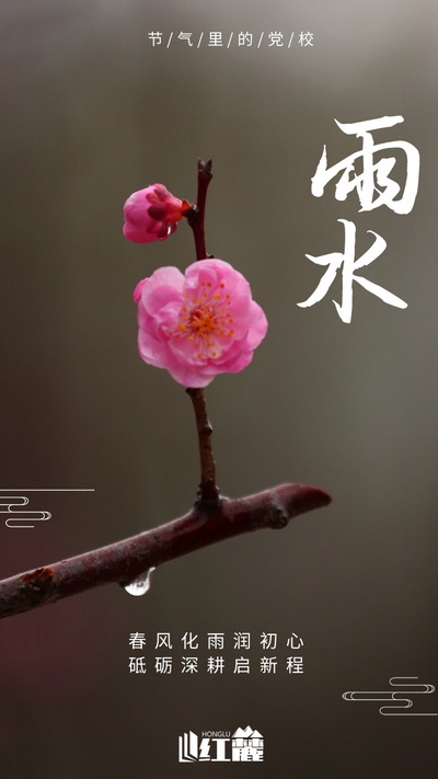 简约清新二十四节雨水海报.jpg