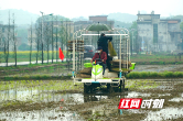 保春耕、促生产 常宁市吹响粮食生产号角