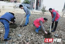 衡阳县三湖镇：发展庭院经济富了乡亲美了环境