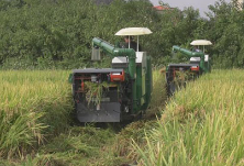 衡阳县：农作物秸秆综合利用让稻草“变废为宝”