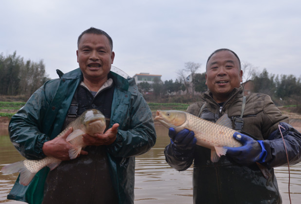 湖南衡东：年年有鱼年年余