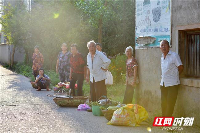 村民在路边等公交车，准备进城销售新鲜采摘的瓜果蔬菜。