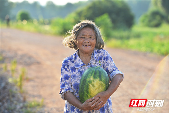 村民抱着刚采摘的西瓜，满脸笑意。