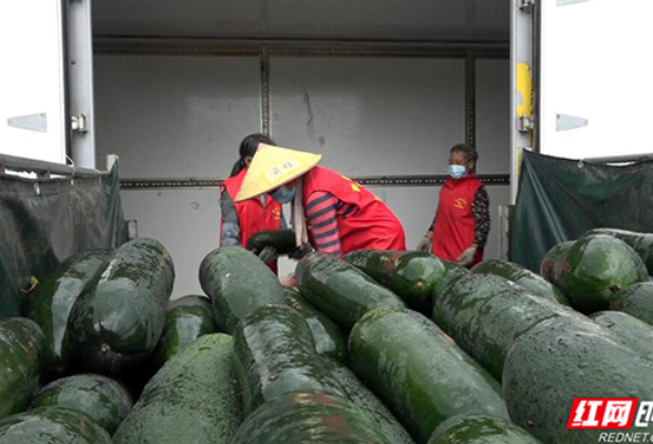 衡阳县爱心企业捐赠20吨冬瓜 全力驰援张家界抗疫