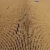 通过良种良法配套 多地秋粮单产进一步提升
