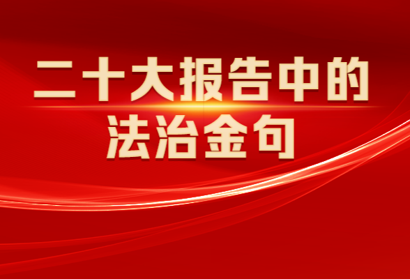 速览！二十大报告中的法治金句