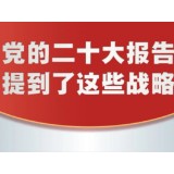 党的二十大报告，提到这些战略