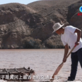 全球连线丨看中国如何守护黄河生态之美
