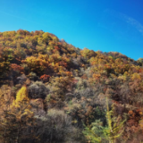 神农架：千山万壑美如画 深秋赏景正当时