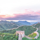 努力绘就乡村振兴的壮美画卷