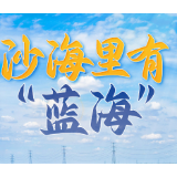 沙海里有“蓝海”——宁夏从“治沙”到“用沙”蹚新路