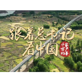 跟着总书记看中国｜千年八廓街 盛开团结花