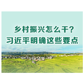 时习之丨乡村振兴怎么干？习近平明确这些要点