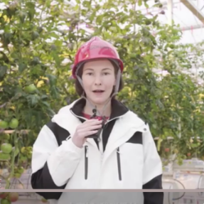 全球连线｜俄罗斯留学生爱林：我将把我的未来和中国联系