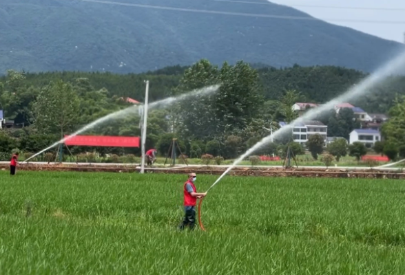 湖南衡东：打造10万亩绿色种养循环农业试点项目