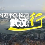 时政微纪录丨习近平总书记武汉行