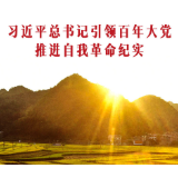 跳出历史周期率的新时代答案——习近平总书记引领百年大党推进自我革命纪实