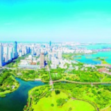 海南：改革开放逐浪高