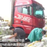 海南努力保障生活物资供应