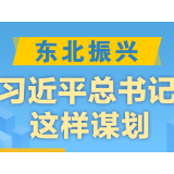 学习进行时丨东北振兴，习近平总书记这样谋划