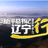 时政微纪录丨习近平总书记辽宁行