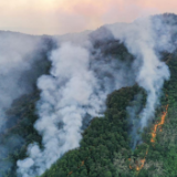冲向重庆山火的骑手:“没必要知道我的名字”